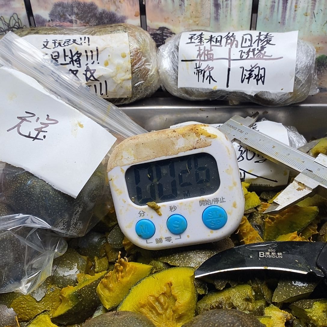 心***.古巨基看妈妈看斤斤计较