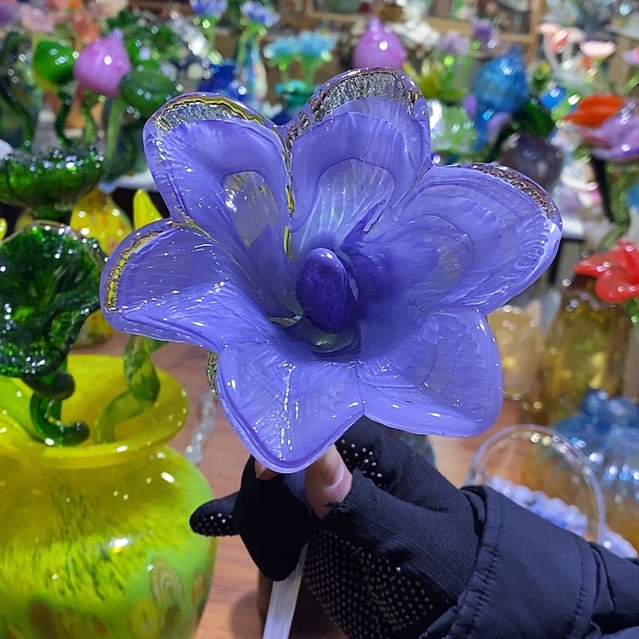 夜光花花高45厘米宽12厘米