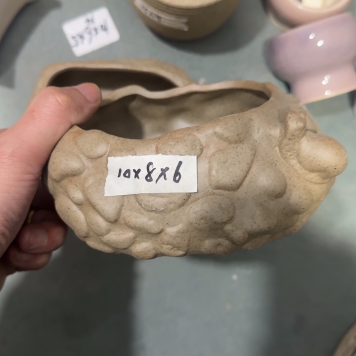 《所有单满15发（花盆）》