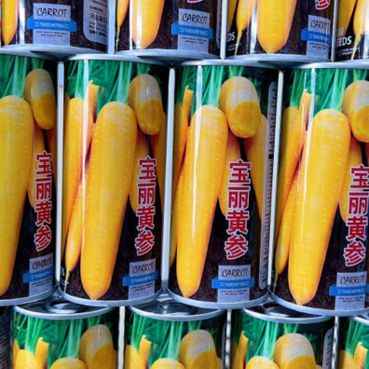 宝丽黄参胡萝卜种子 20克一罐