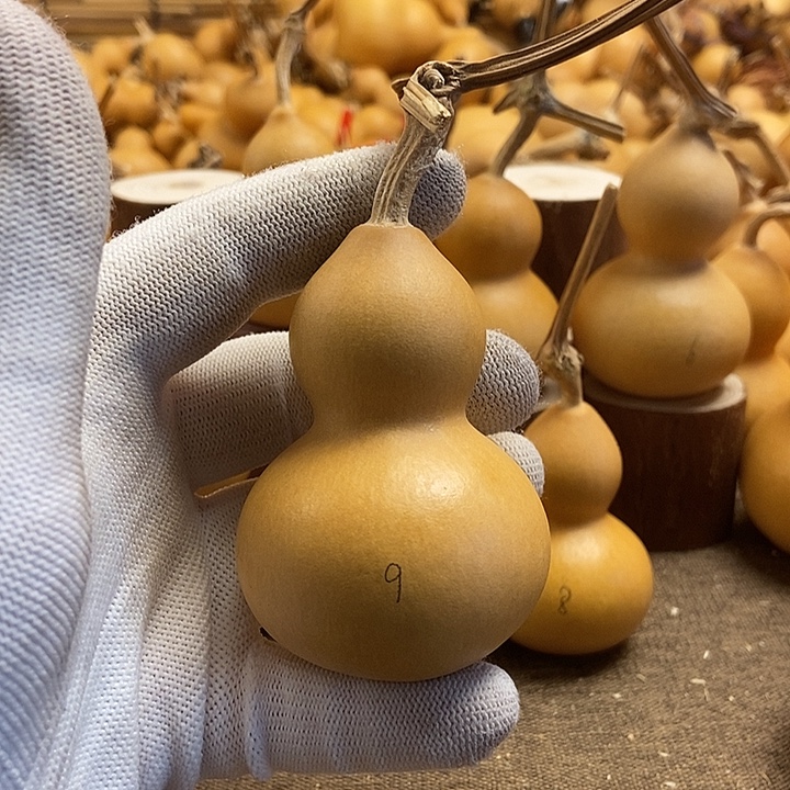 文玩葫芦 完美主义者 慎拍9