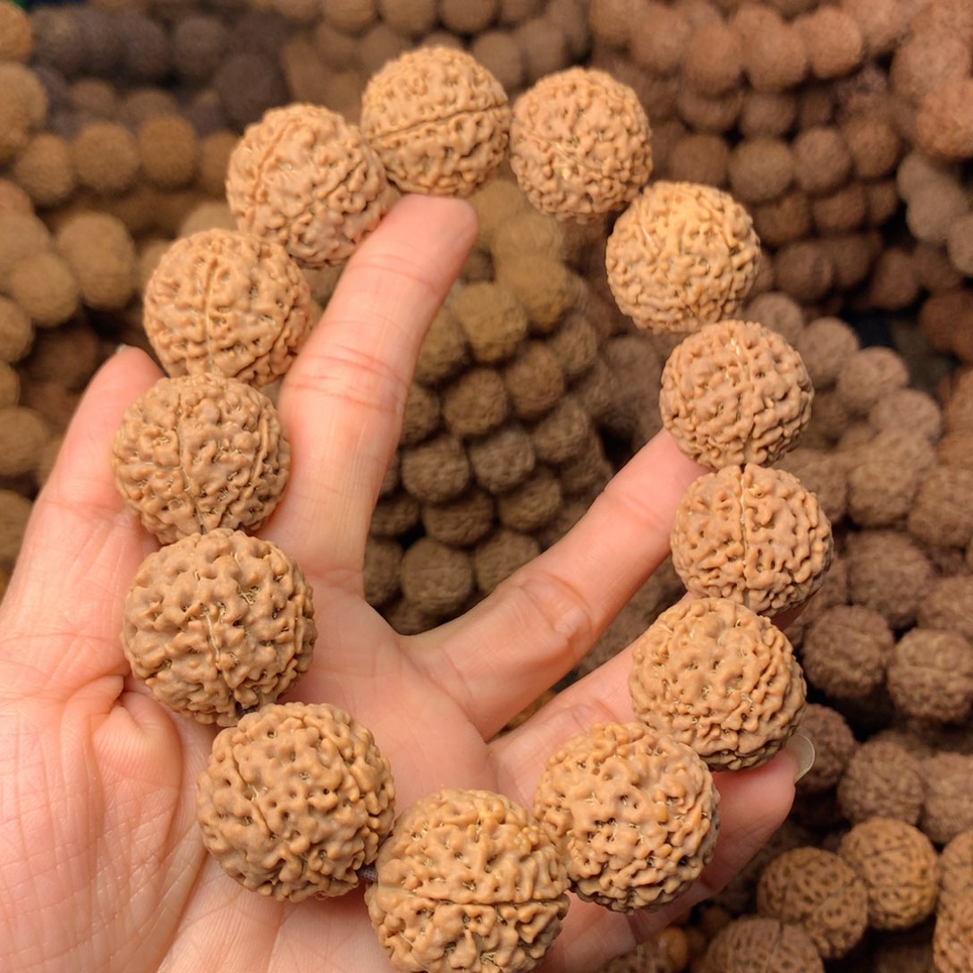 木6瓣金刚卡23尺码，81号