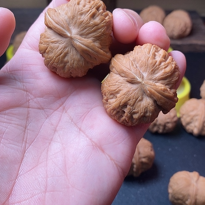 T****大叶紫檀（黑酸枝木类）福利对