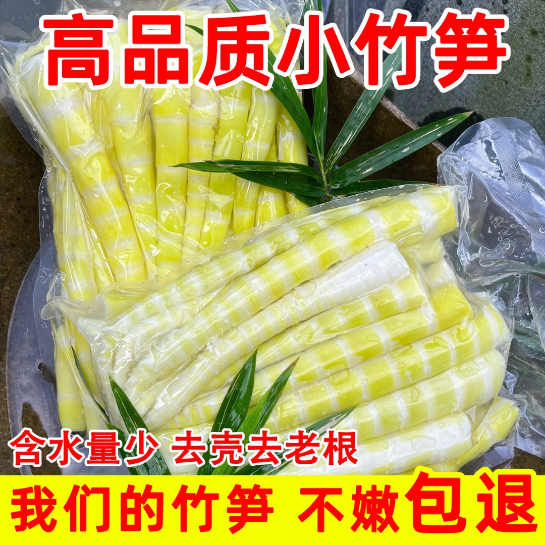 四川小竹笋新鲜嫩笋尖笋子脆嫩方竹笋火锅笋食材清水笋1/2/4斤