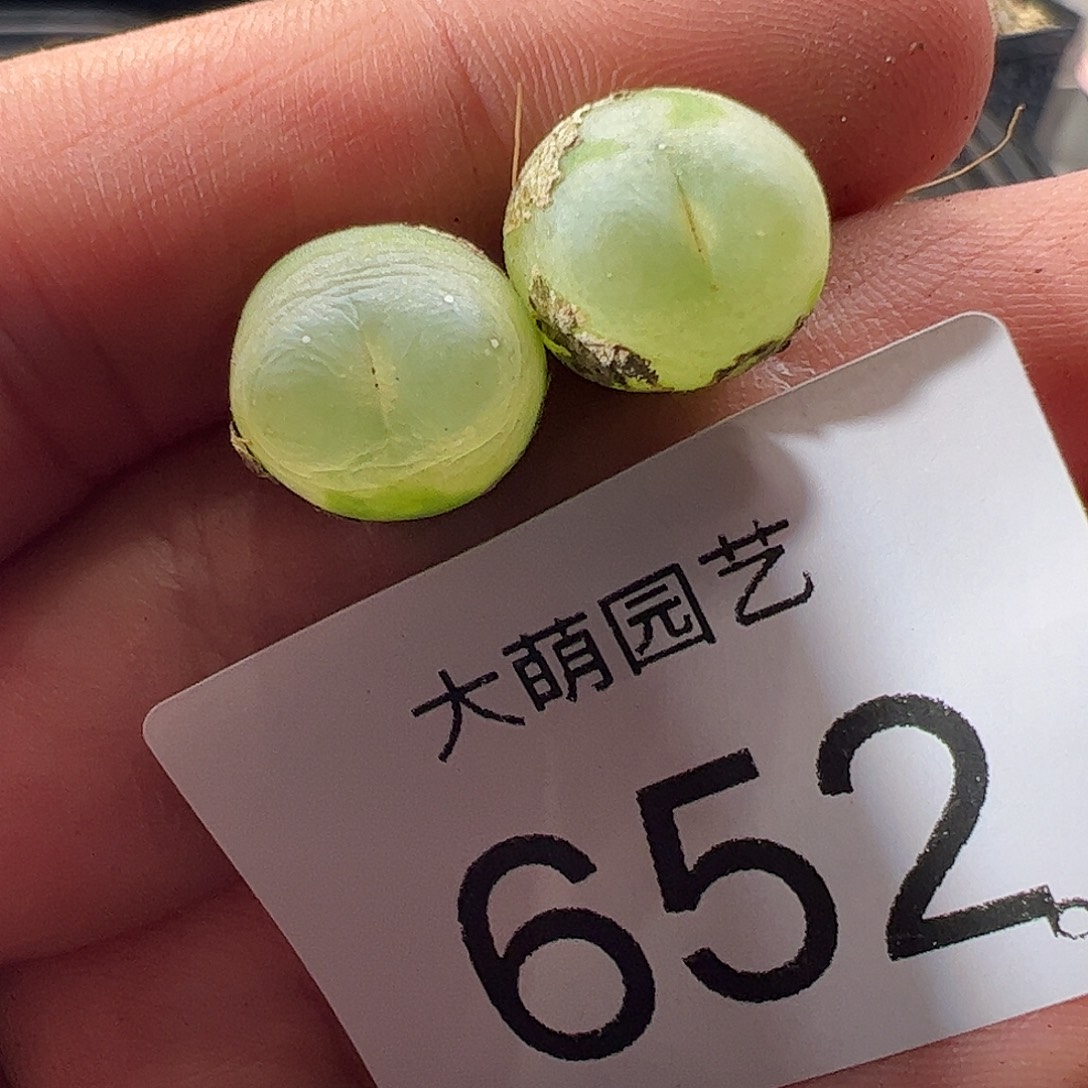 一物一拍。    干疤福利652
