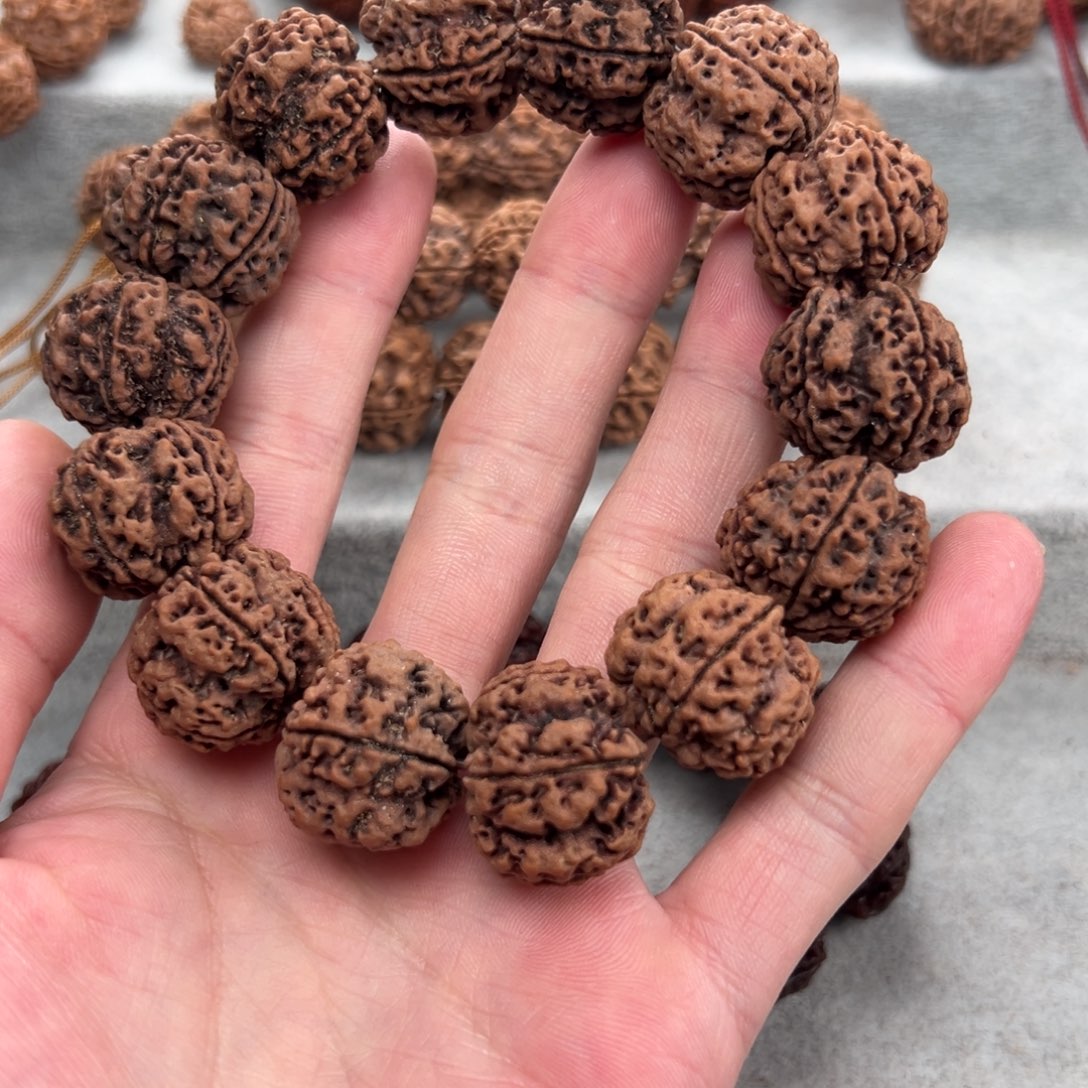 金刚菩提手串铁龙