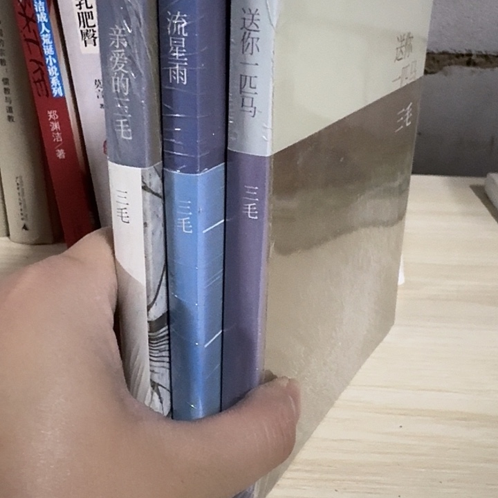 送你一匹流星雨亲爱的三毛