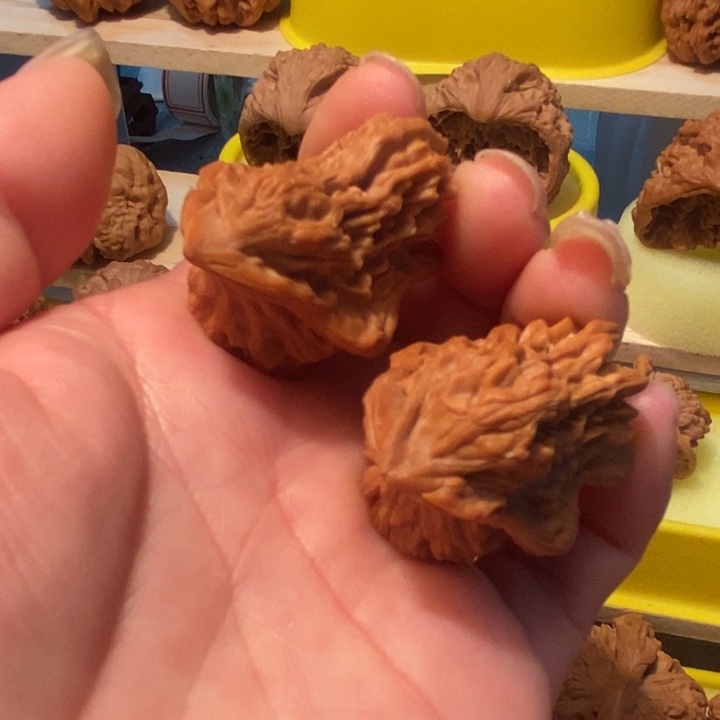 官方网站发布消息