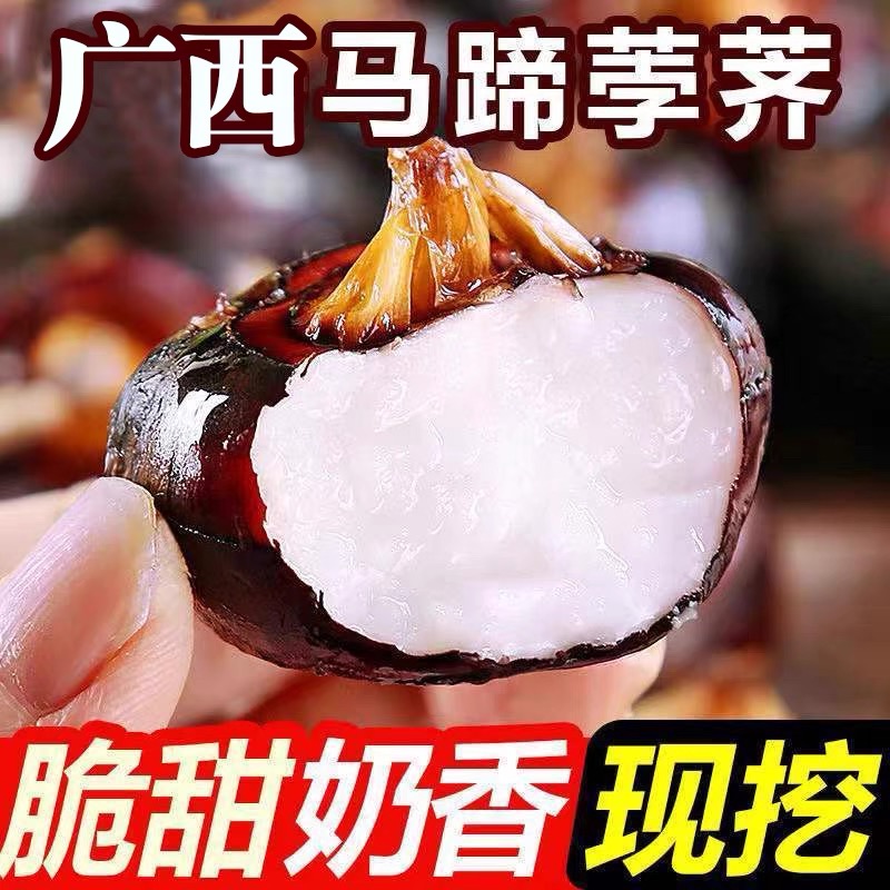 【现挖现发】广西新鲜马蹄荸荠脆甜多汁农家自种水果3斤5斤