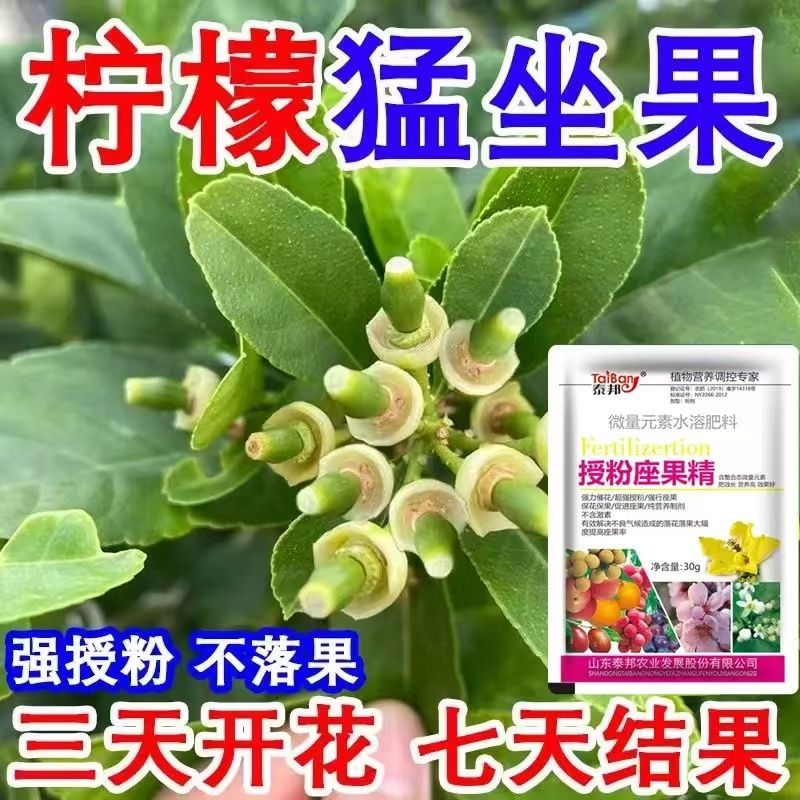 柠檬催花坐果促花素柠檬树授粉保花保果药防落果座果精柠檬专用肥