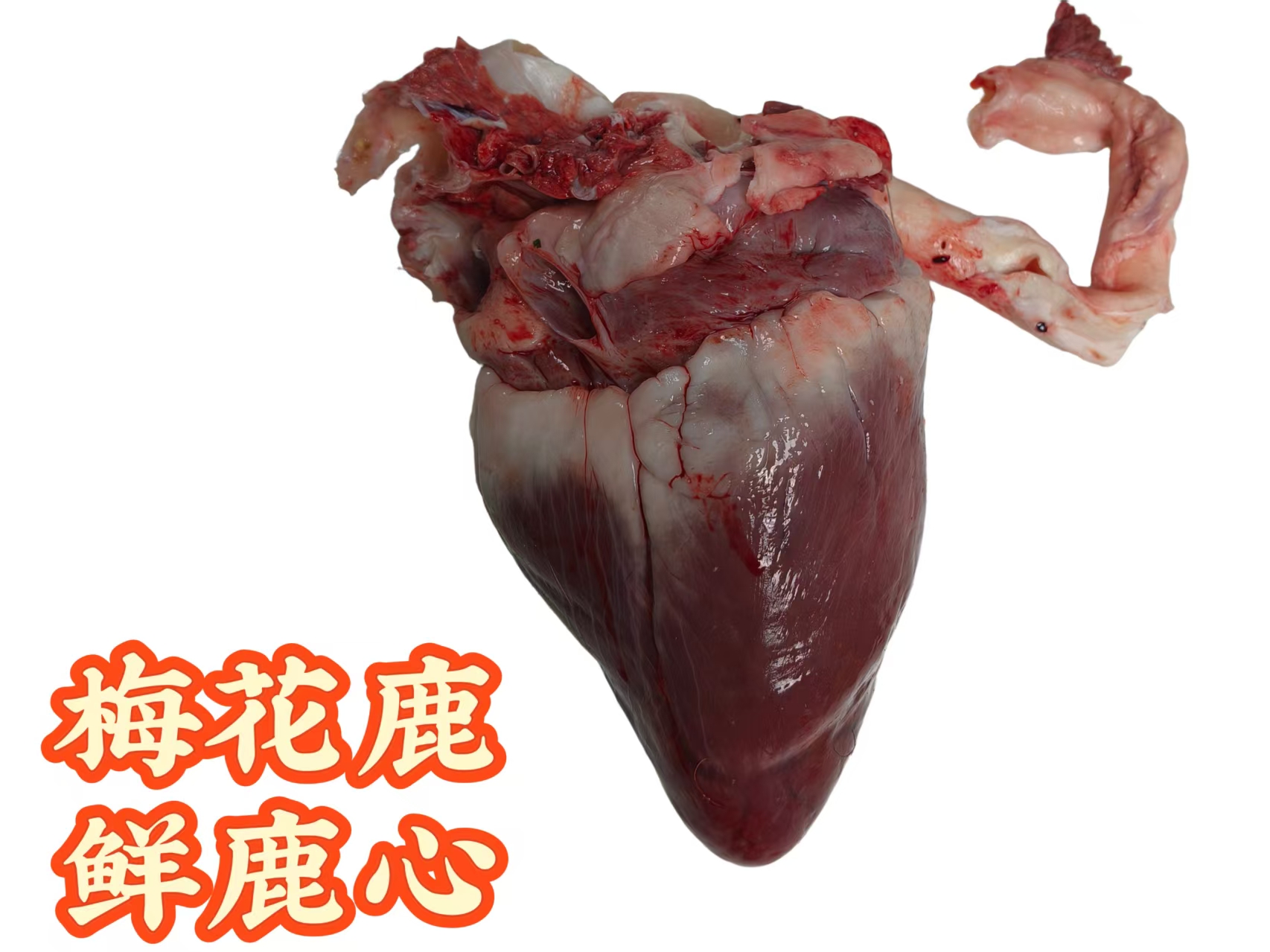【鲜心现场称重】纯正新鲜梅花鹿心顺丰冷链真空包装