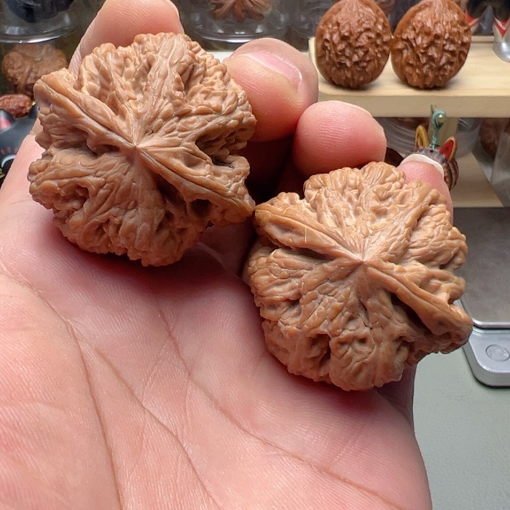 文玩核桃吊坠44尺全品粗筋