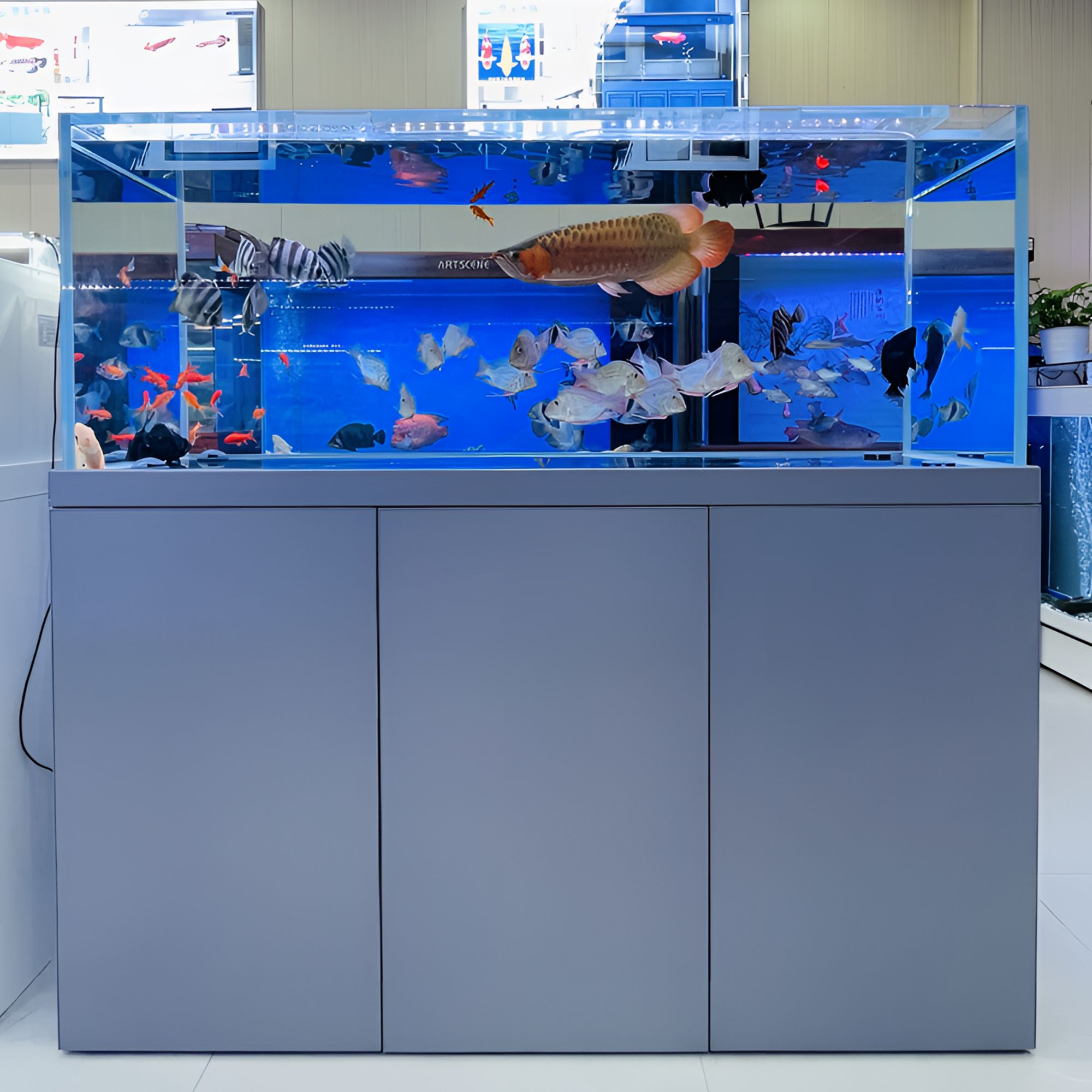 无管件南美龙鱼缸水族箱底滤家用吉罗超白兰寿功能大鱼缸含包边