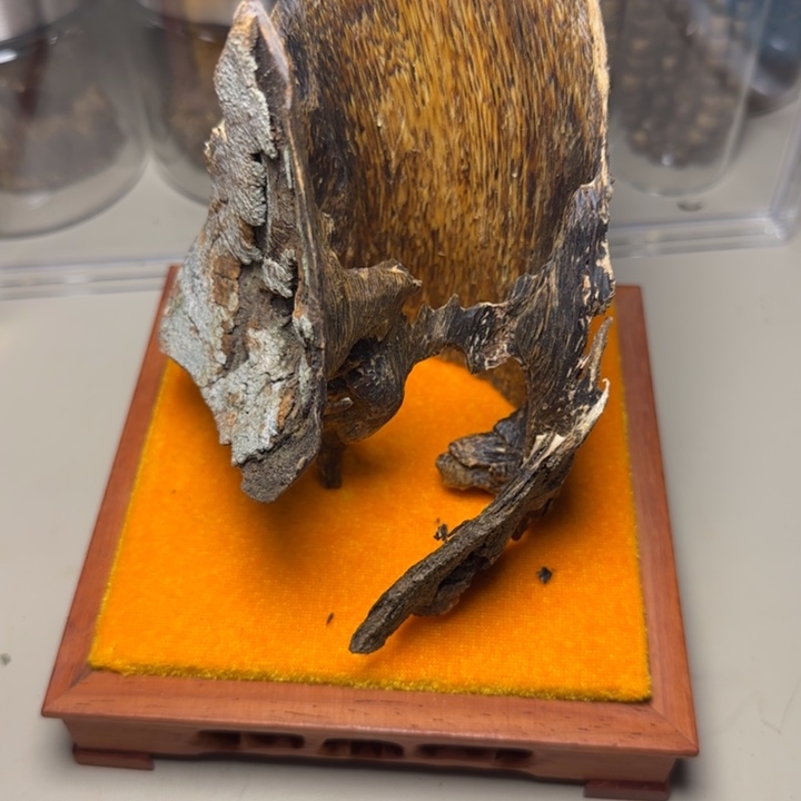 树脂制品阿*野生棋楠虎斑棋树85.8克