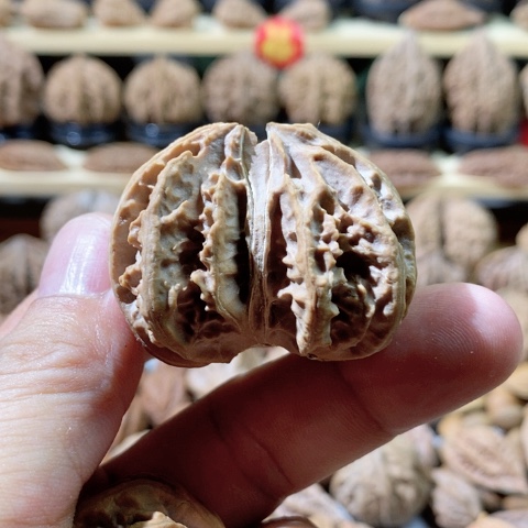 文玩核桃把件双棒连体单只