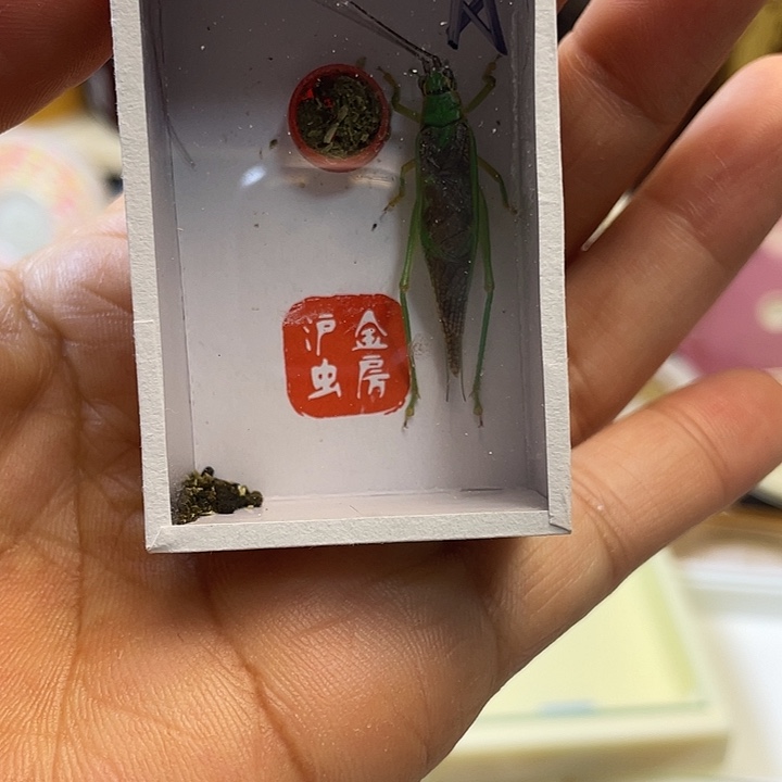 前***问霍氏1啊啊啊啊啊啊