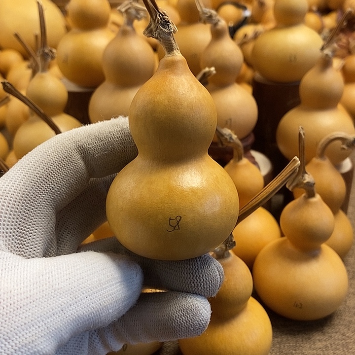 文玩葫芦 完美主义者 慎拍58