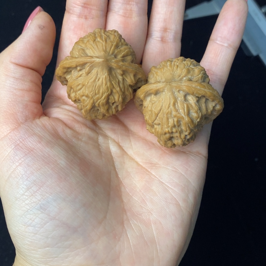 猴头核桃吊坠野狼30