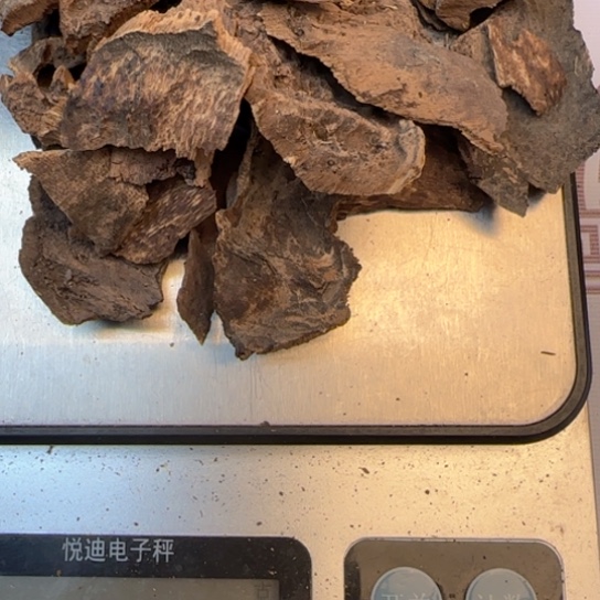 沉香摆件海南铁顶壳27克