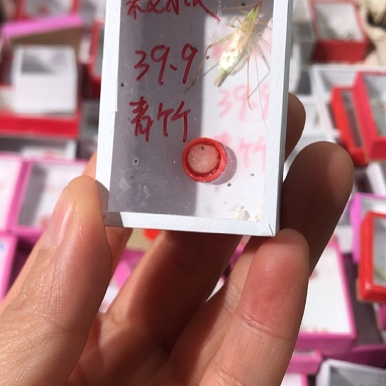 D***叔蟋蟀11111111111111111111