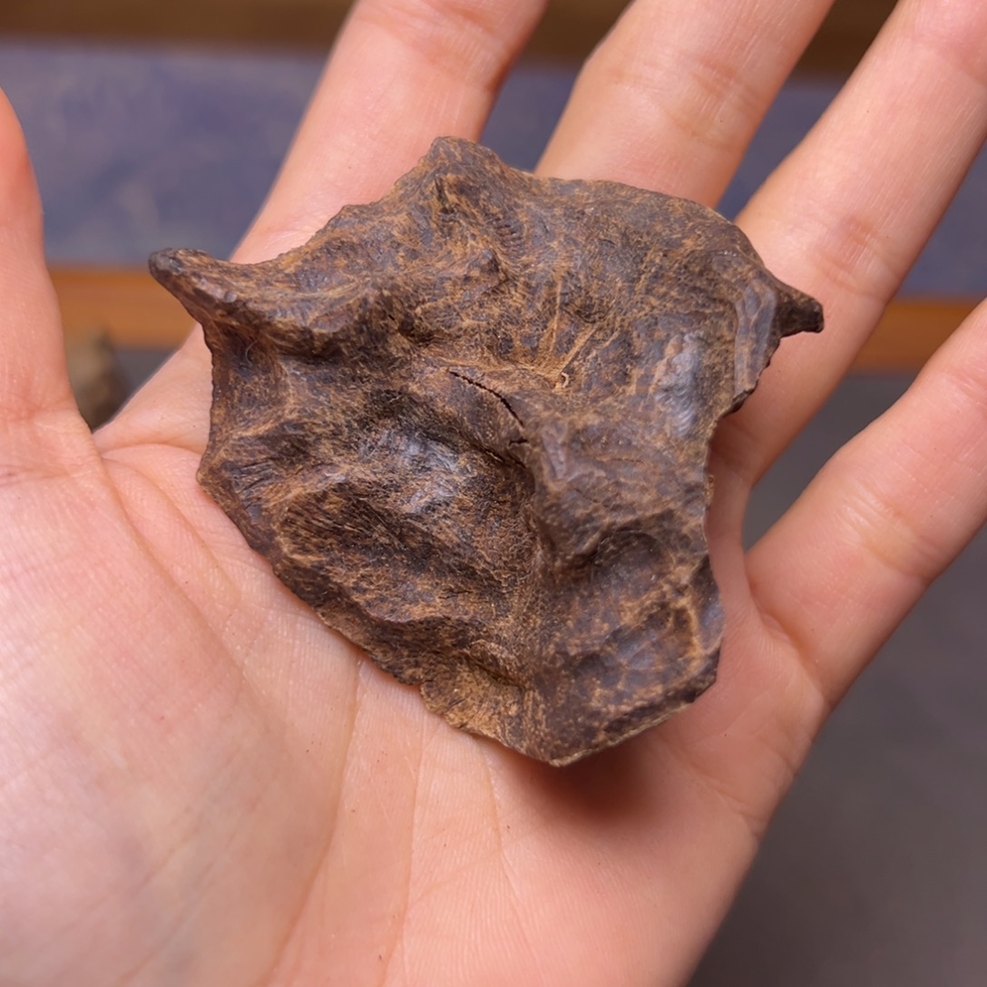 小***克沉香碎屑沉香海南尖峰岭沉水老包头9.3克