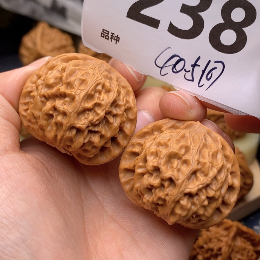 文玩核桃把件238号40.5灯