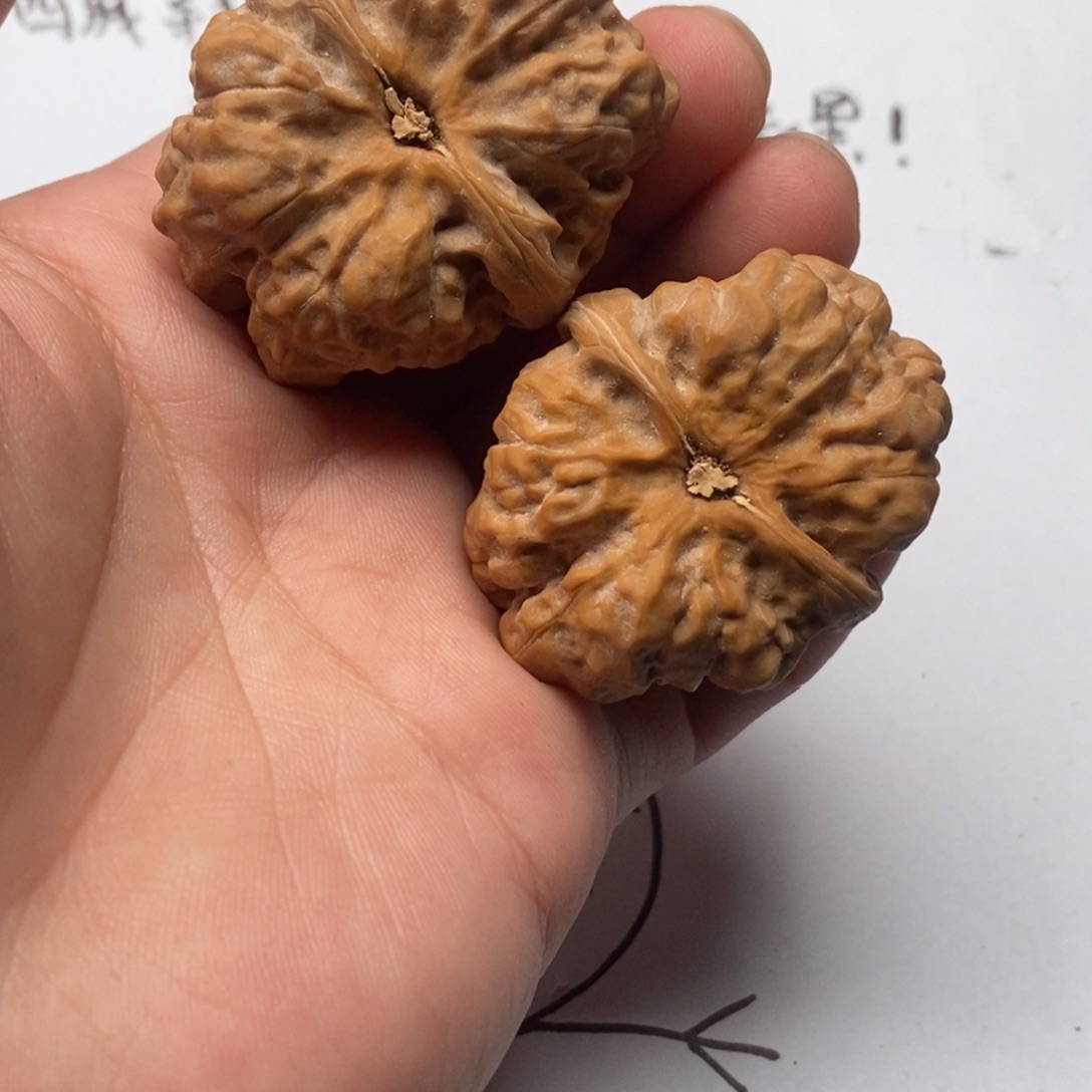 日***落好的我真的好喜欢这个