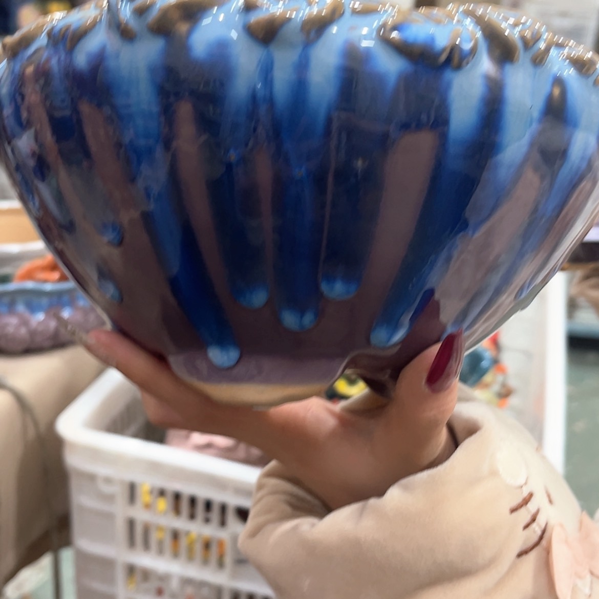 【闪购商品】红陶福利