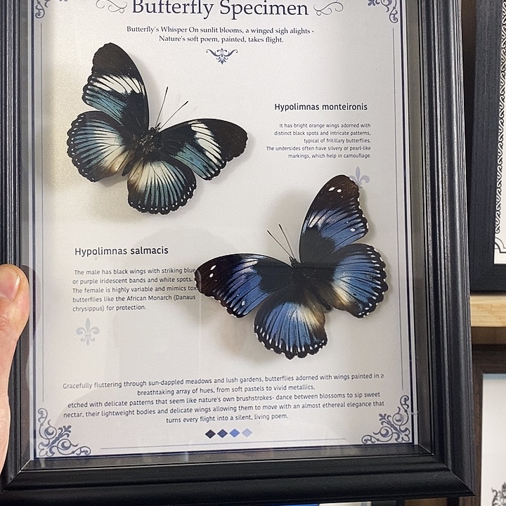 木高山若水组合斑