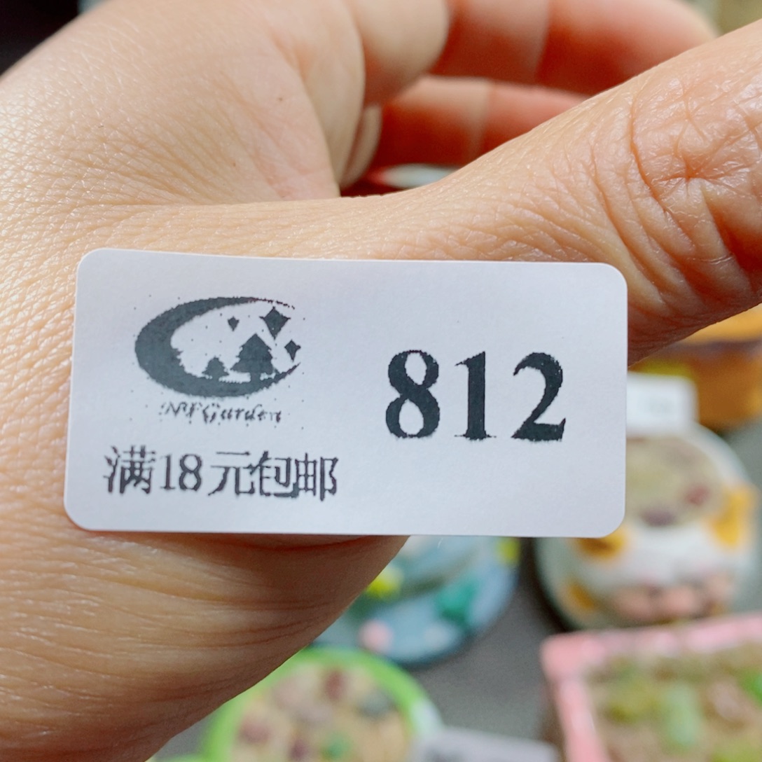 微***瓜生石花花花花花812