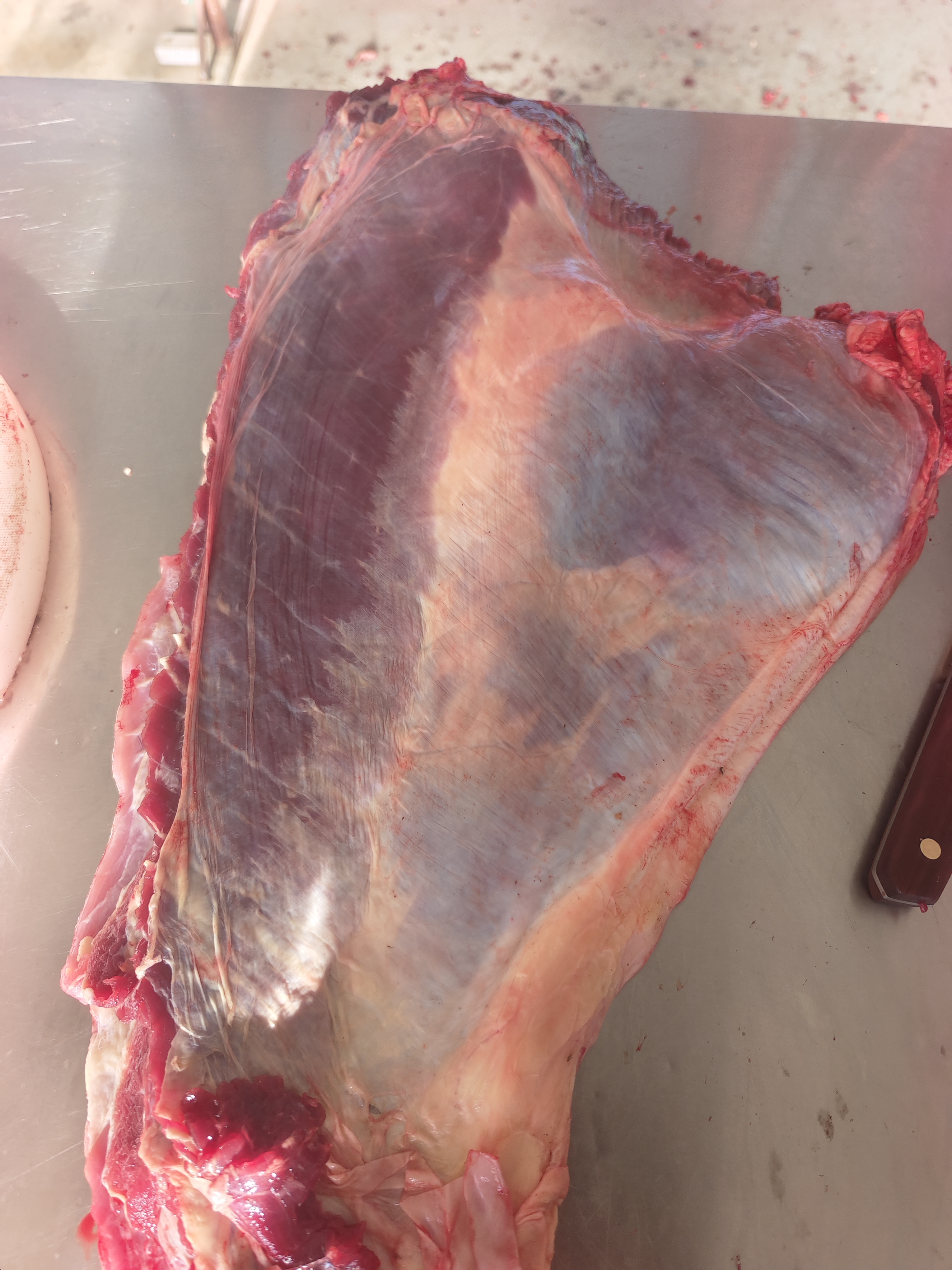 草原现宰溜达牛，牛腩