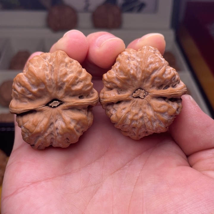 给***歌文玩核桃把件精品蛤蟆头