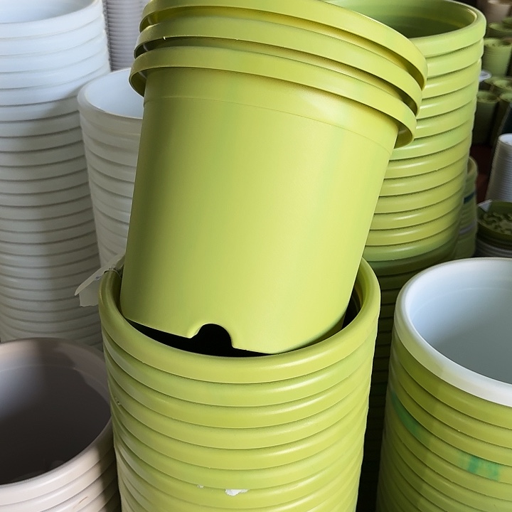 四季5#口径29果绿10个无托