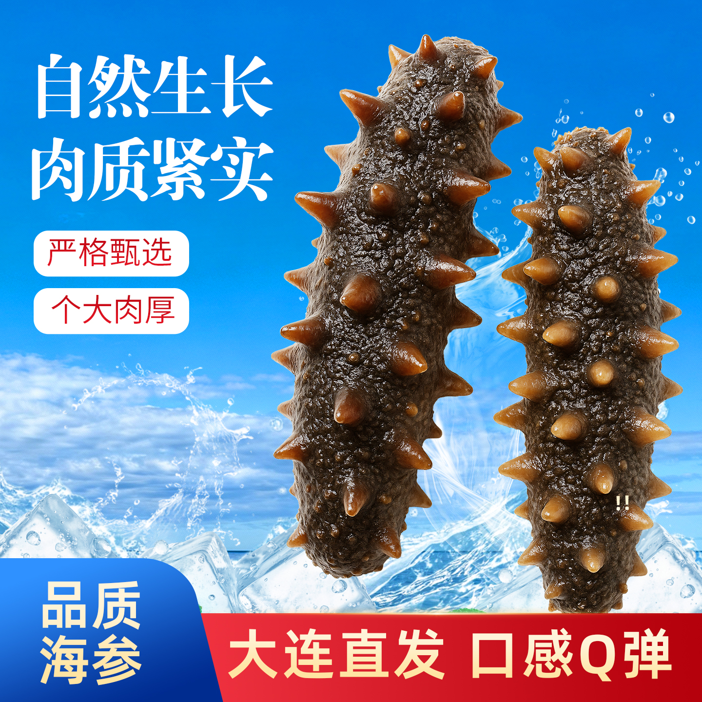 【大连直发 8-11头/斤】 即食海参独立真空包装深海品质口感Q弹