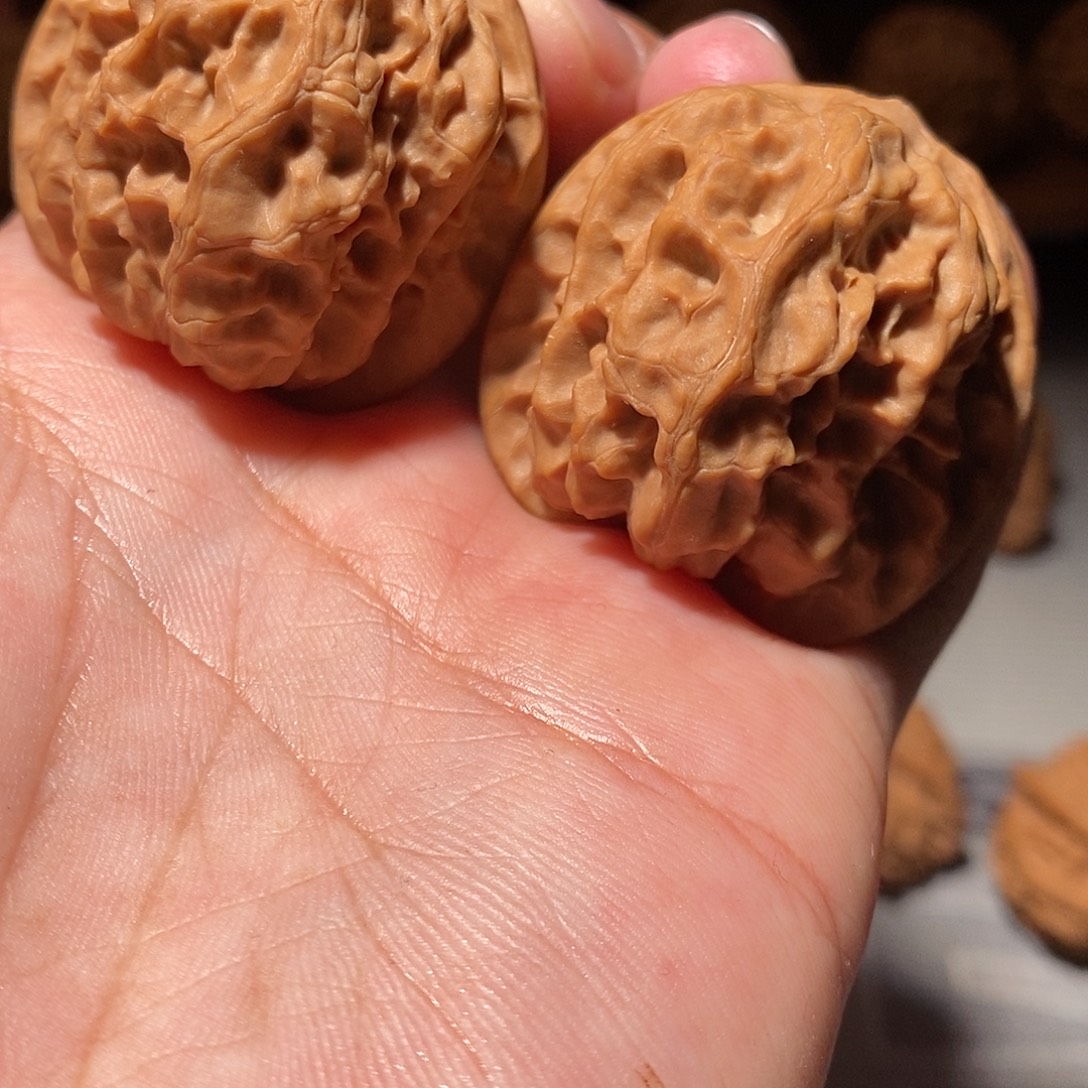 把件文玩核桃043野狼39尺全品头货对