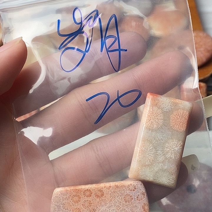 岁***晴硅化玉未镶嵌颈饰