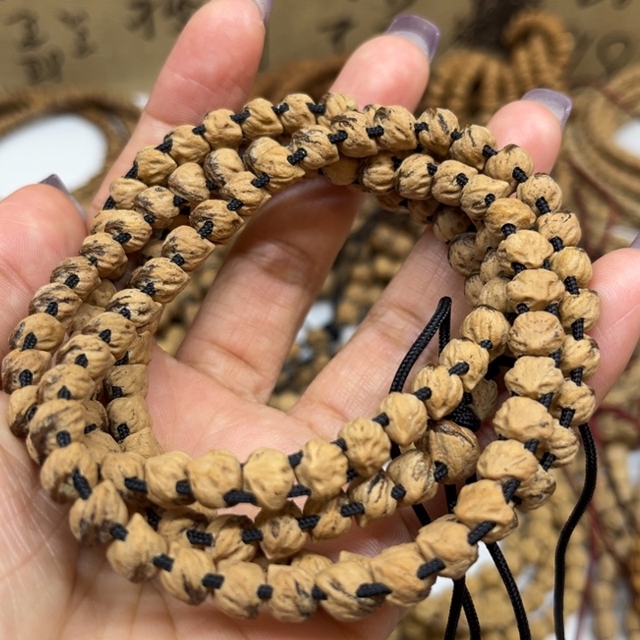 秘*蛇骨柏香籽长串饱满