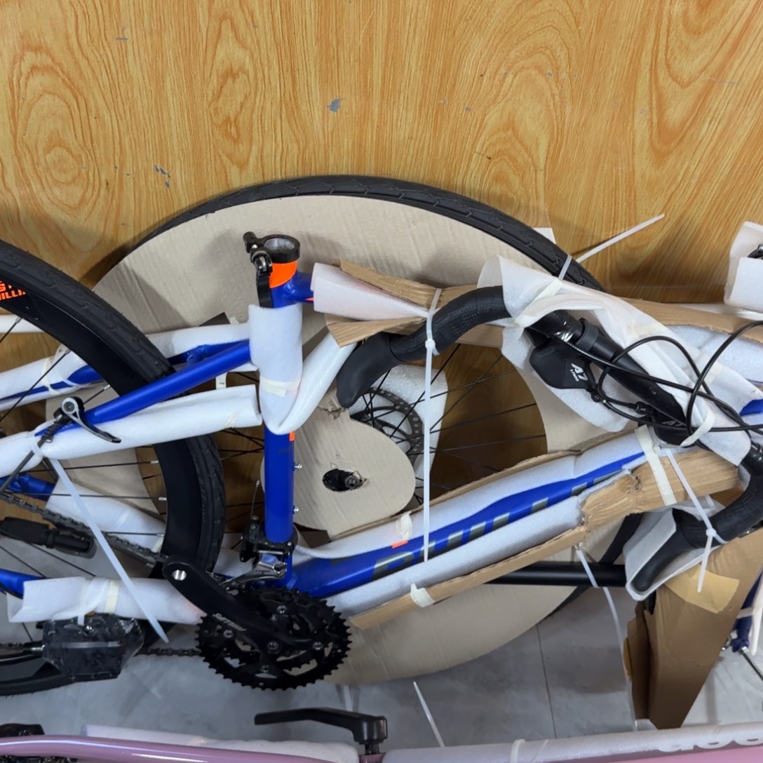 随***去公路蓝色弯把30速