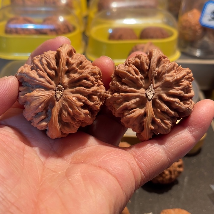 文玩核桃把件大粗筋49