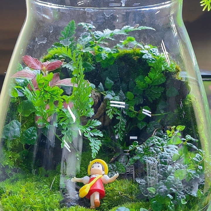 无花朵空山之行中