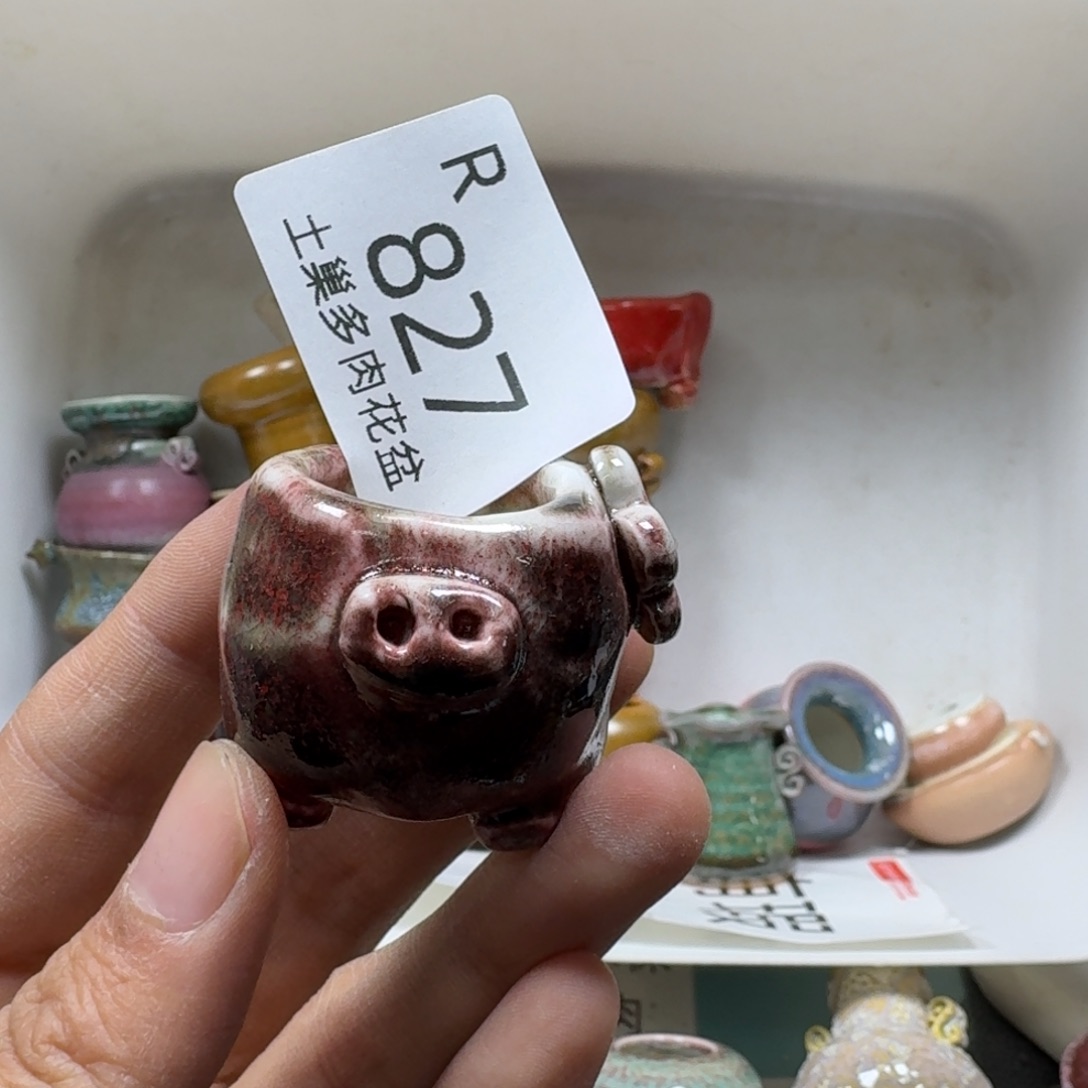 椰***冻陶瓷艺术品设计与制作