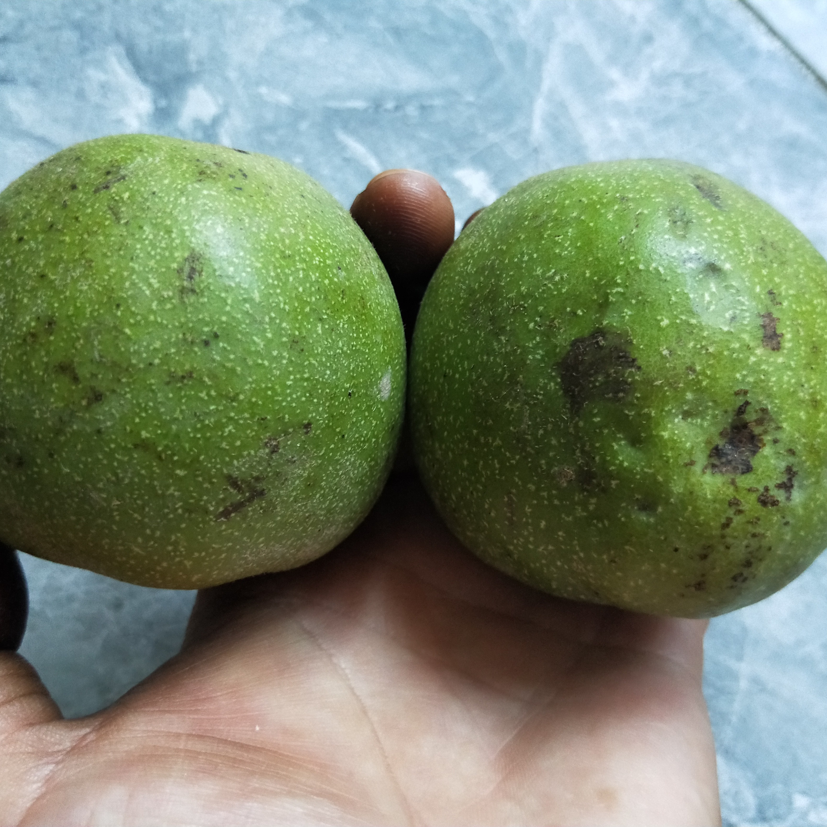 麻核桃把件盘山青皮尺寸随机款式可选