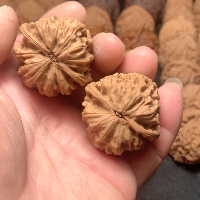 【闪购商品】看**切鸡心