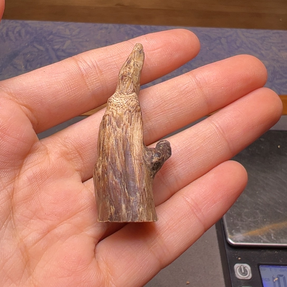 沉香碎屑沉香香港根部沉水树心4.6克