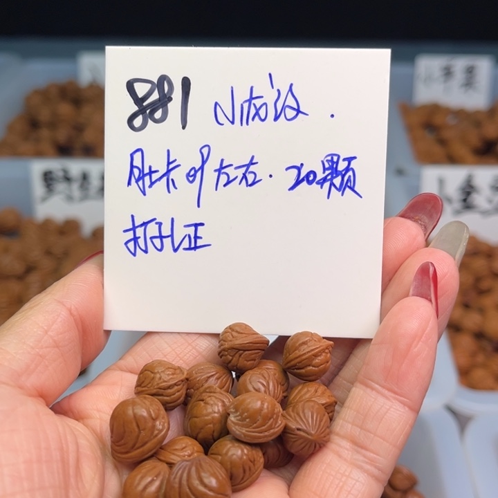 桃核把件小龙纹09尺寸20颗