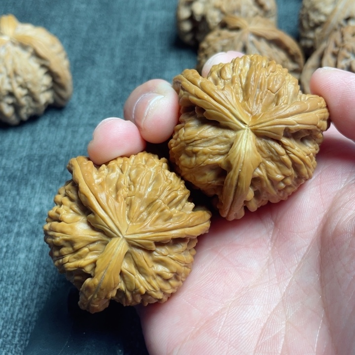 M**！工艺三棱白狮子三棱