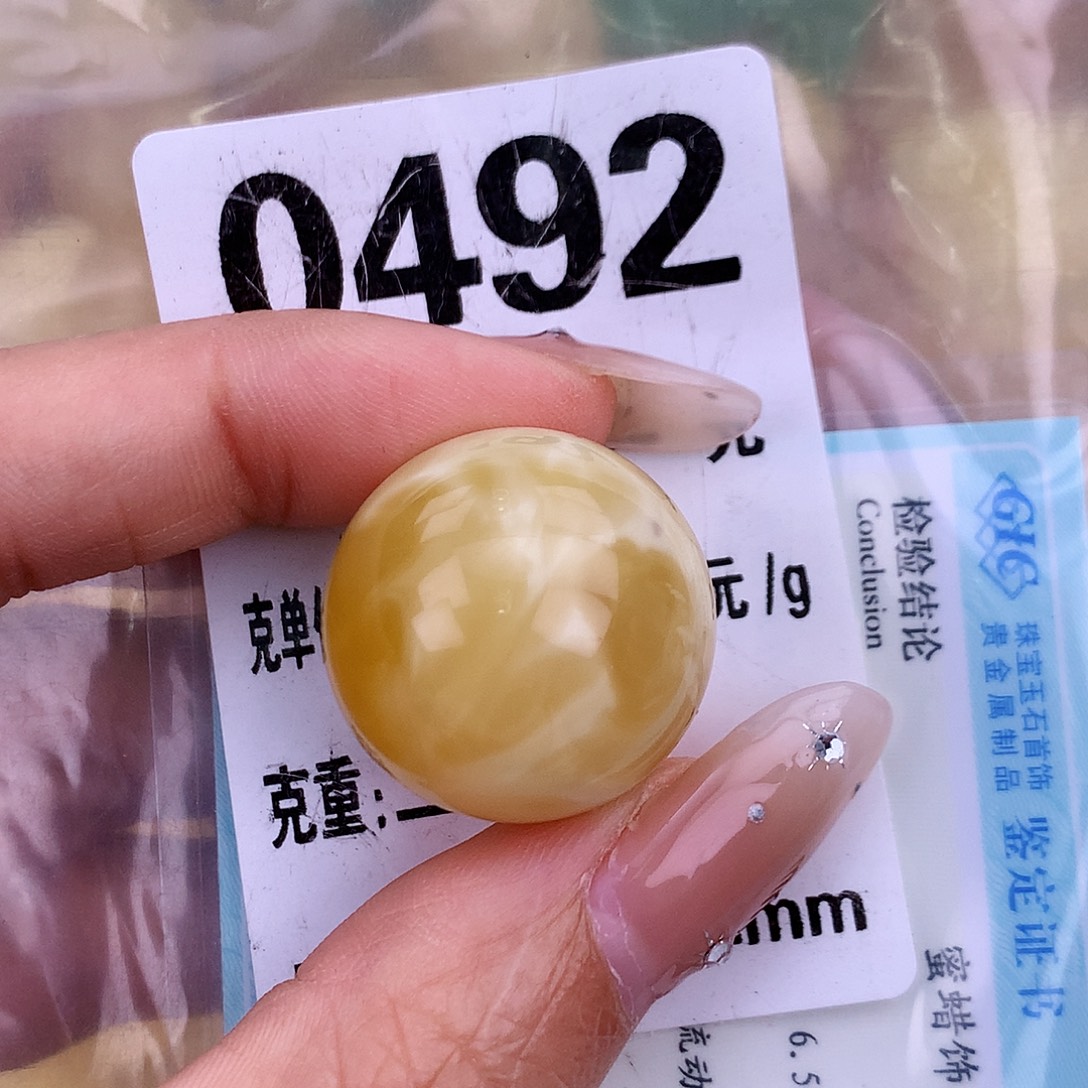 琥珀未镶嵌珠宝奇石22.5 植物