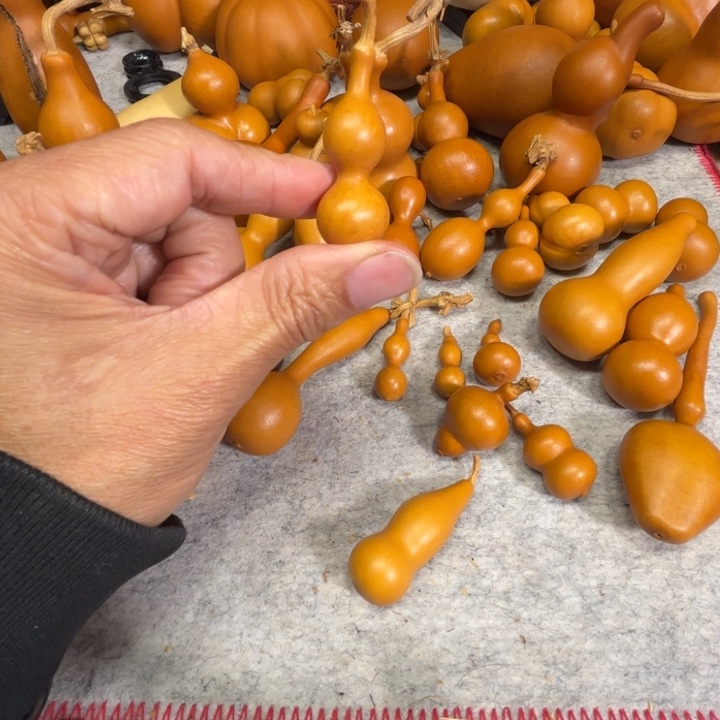 乐****乐恶的一把天津嘴，天津嘴葫芦