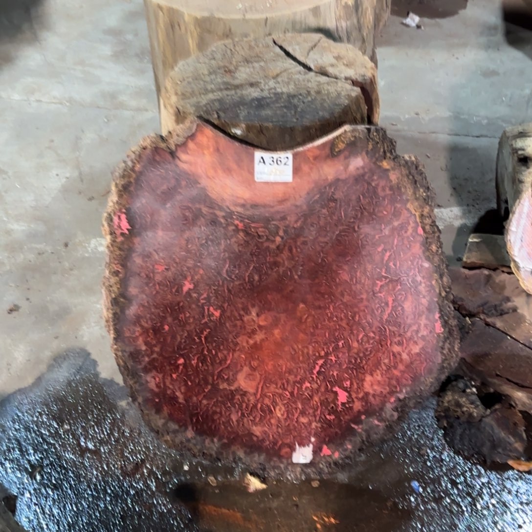 林***森花梨木类花梨木362