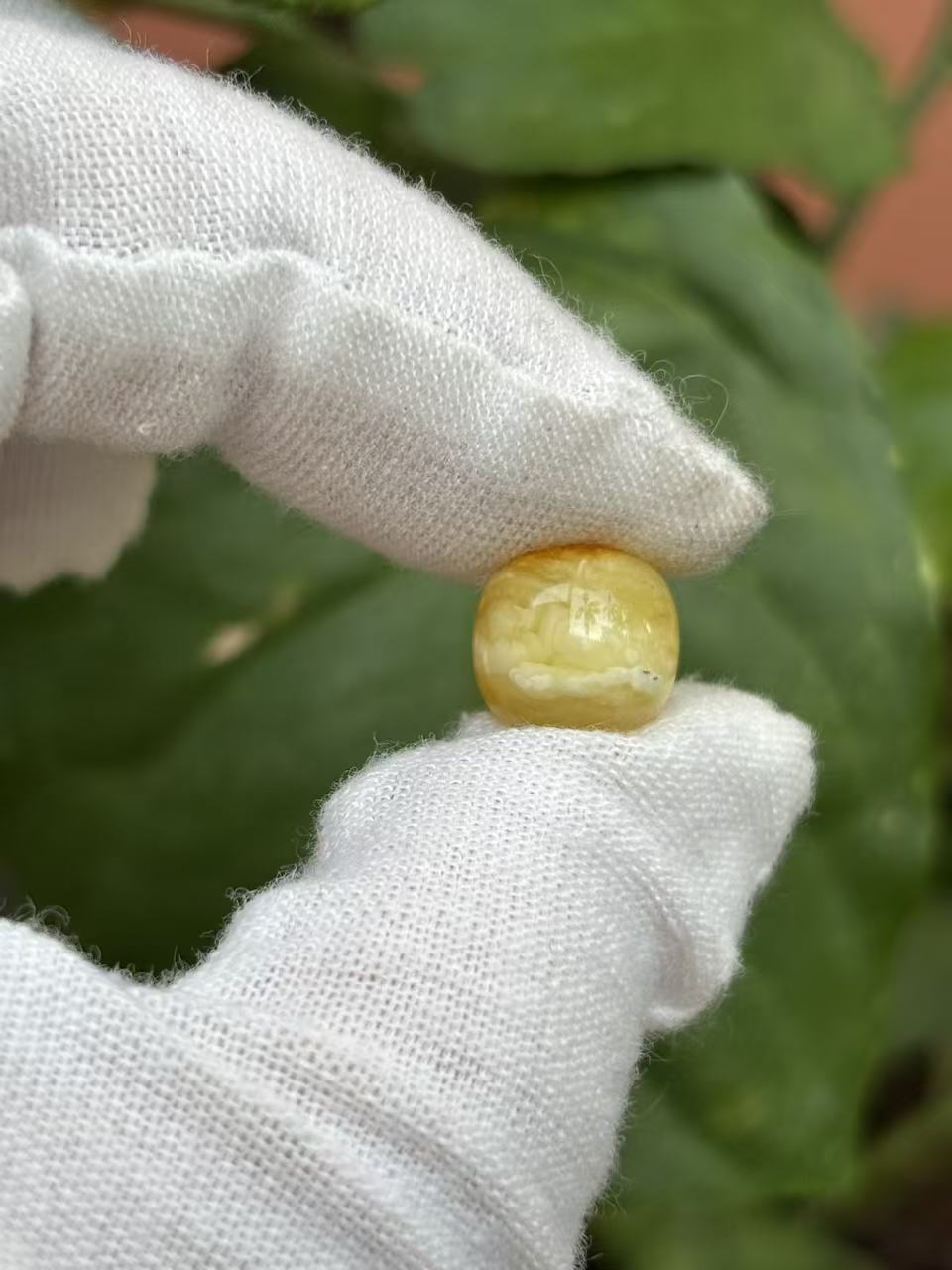 1966天然蜜蜡琥珀老型墩子10.7x9.7mm